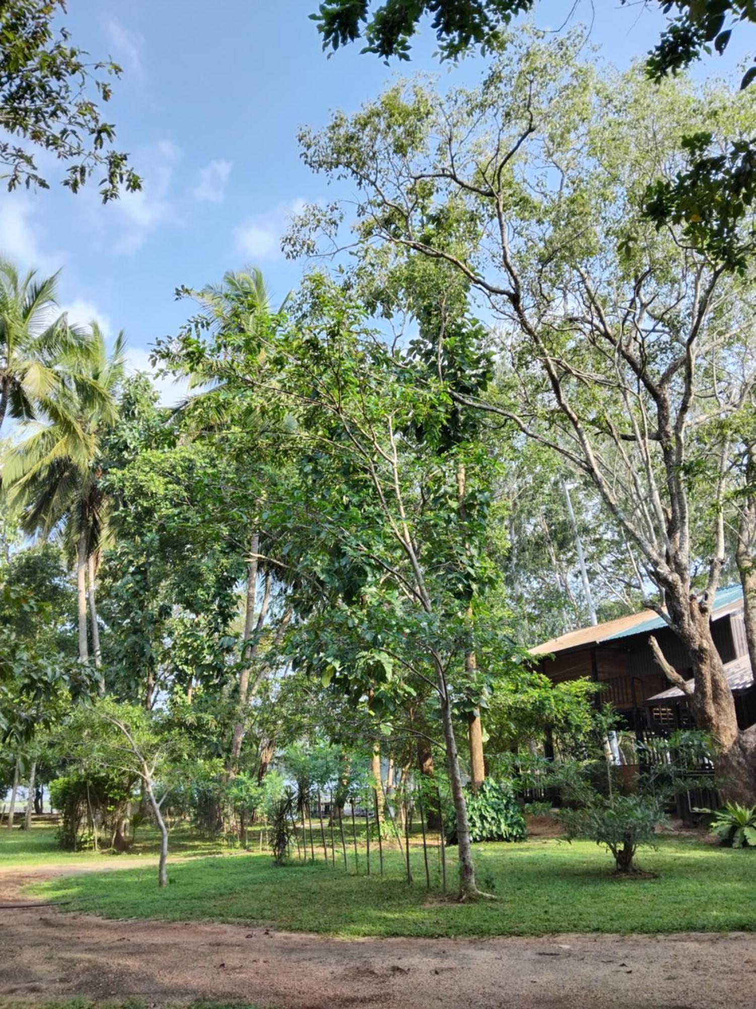 Nature'S Lake View Sigiriya Dambulla Exterior foto