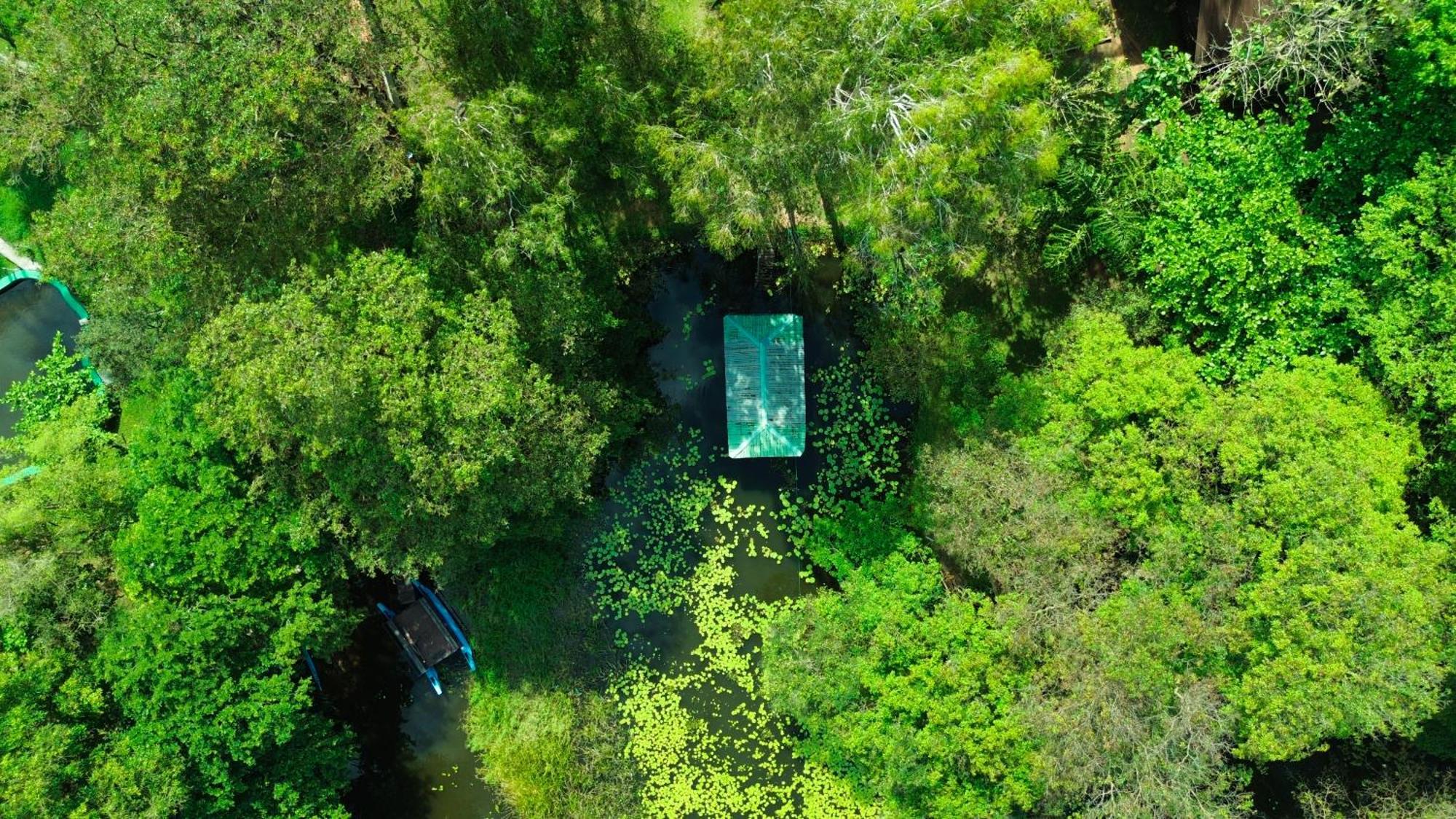 Nature'S Lake View Sigiriya Dambulla Exterior foto